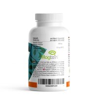 ProFuel Magneisum L-Threonat Magtein® 120 Kapseln