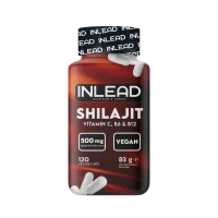 INLEAD Shilajit 500mg 120 Kapseln