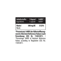 MST - Niacin 60 Kapseln