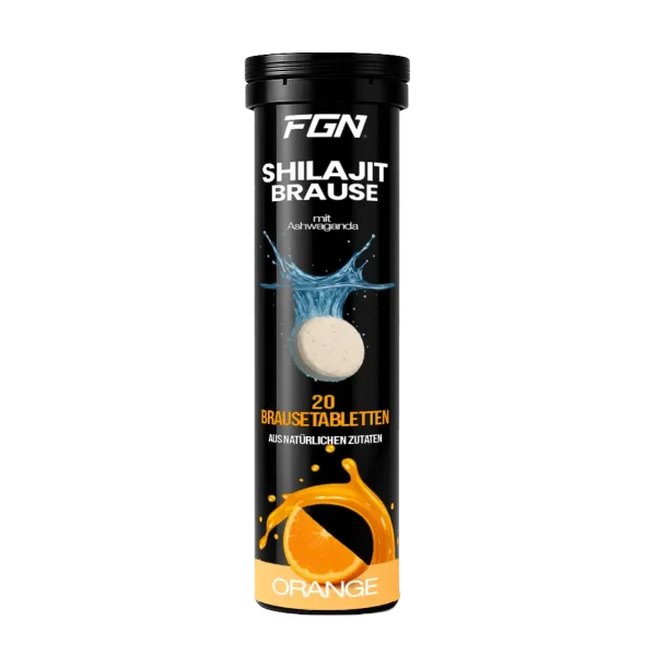 FGN Shilajit 20 Brausetabletten Orange