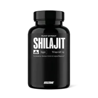 Big Zone Shilajit 90 Kapseln