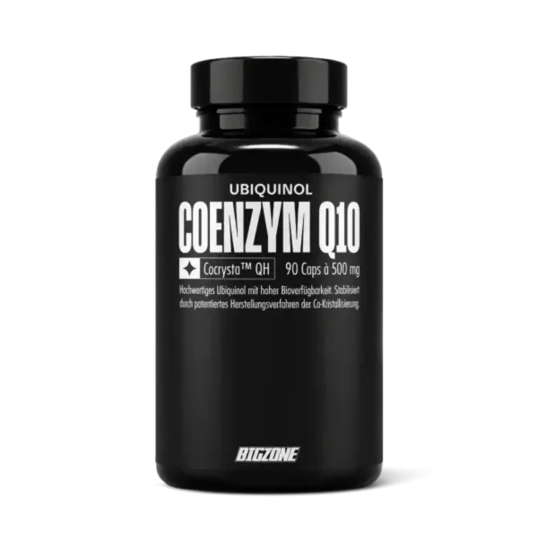 Big Zone Q10 Ubiquinol 90 Kapseln